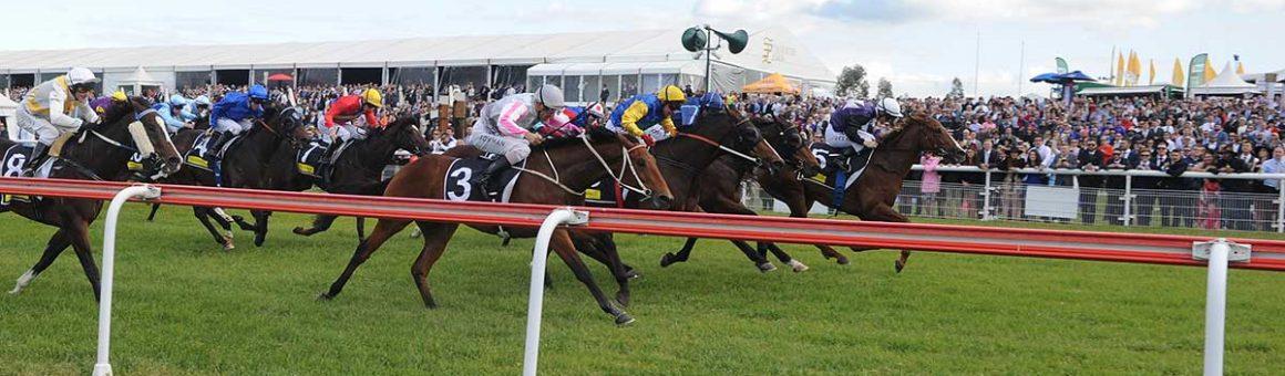 Scone Race Club racecourse