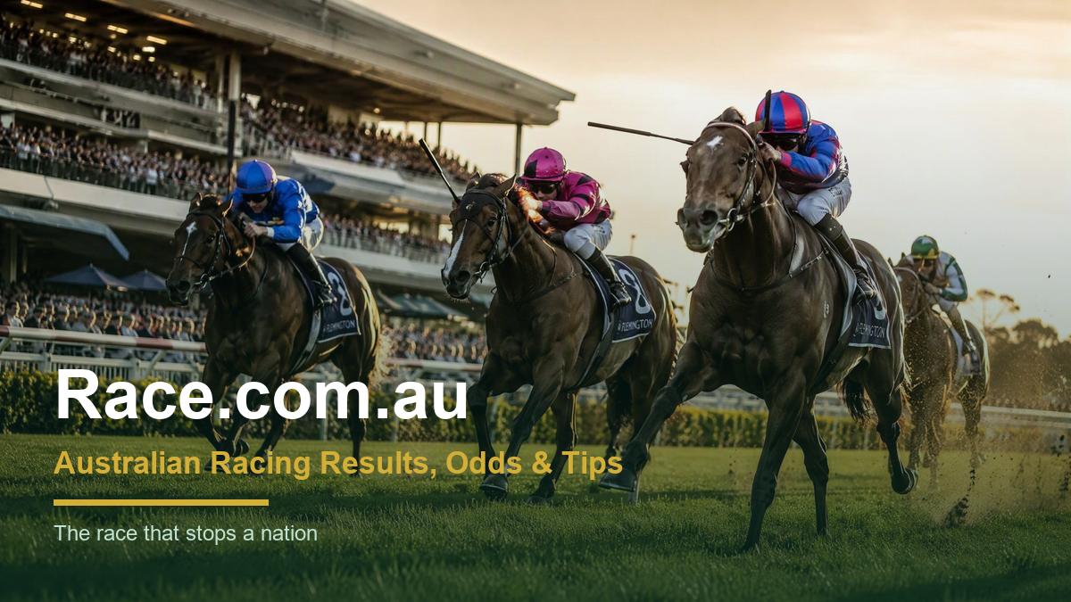 Horse Racing Terms: The Complete A–Z Glossary | Race.com.au